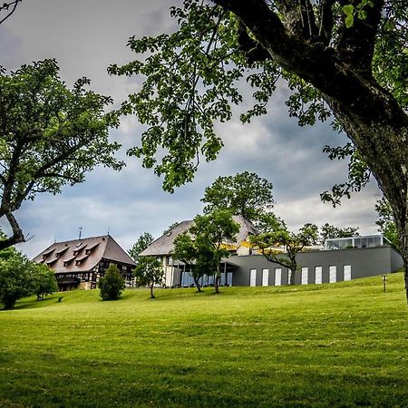 Hotel Hofgut Hohenkarpfen Hausen ob Verena Exteriör bild