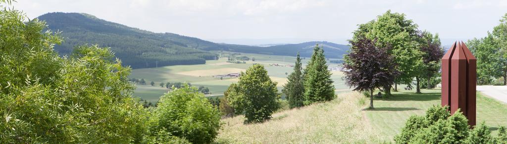 Hotel Hofgut Hohenkarpfen Hausen ob Verena Exteriör bild